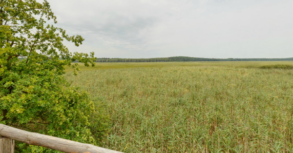 Gmina Żyrzyn Rezerwat Piskory z widokiem na jezioro