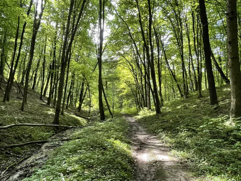 Miniaturka Roztoczański Park Narodowy - przyrodniczy klejnot Lubelszczyzny