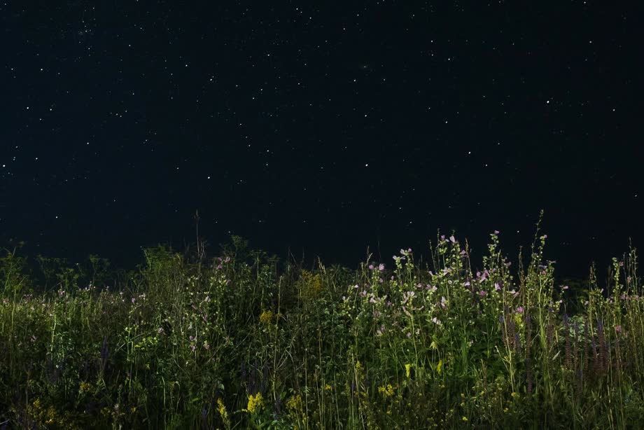 Miniaturka Bliżej gwiazd czyli strefa ciemnego nieba na Polesiu Lubelskim