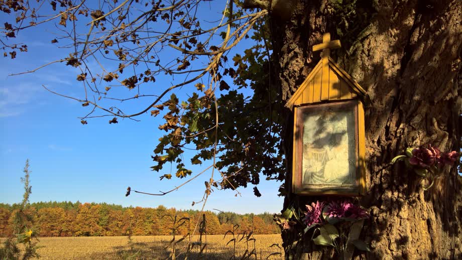 Miniaturka Traktem Jagiellońskim przez Lasy Parczewskie