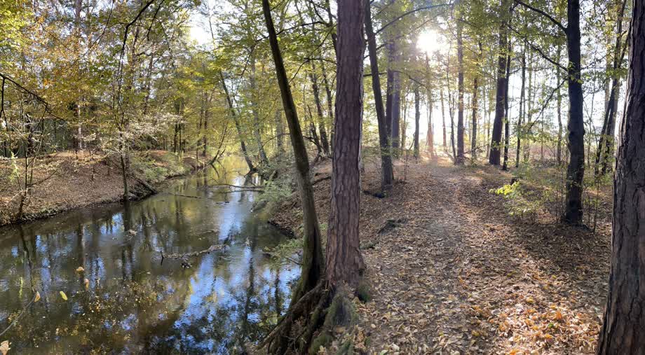 Miniaturka Ścieżka przyrodnicza Kleniewo – przyrodnicza perełka pod Opolem Lubelskim