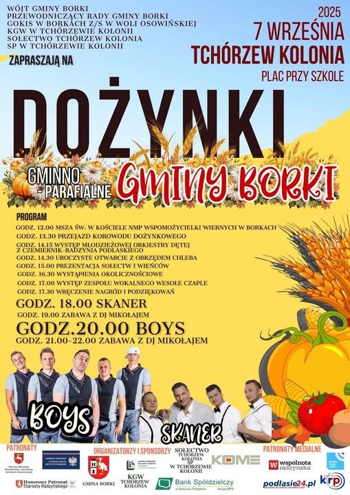 Plakat Dożynki Gminno-Parafialne Gminy Borki