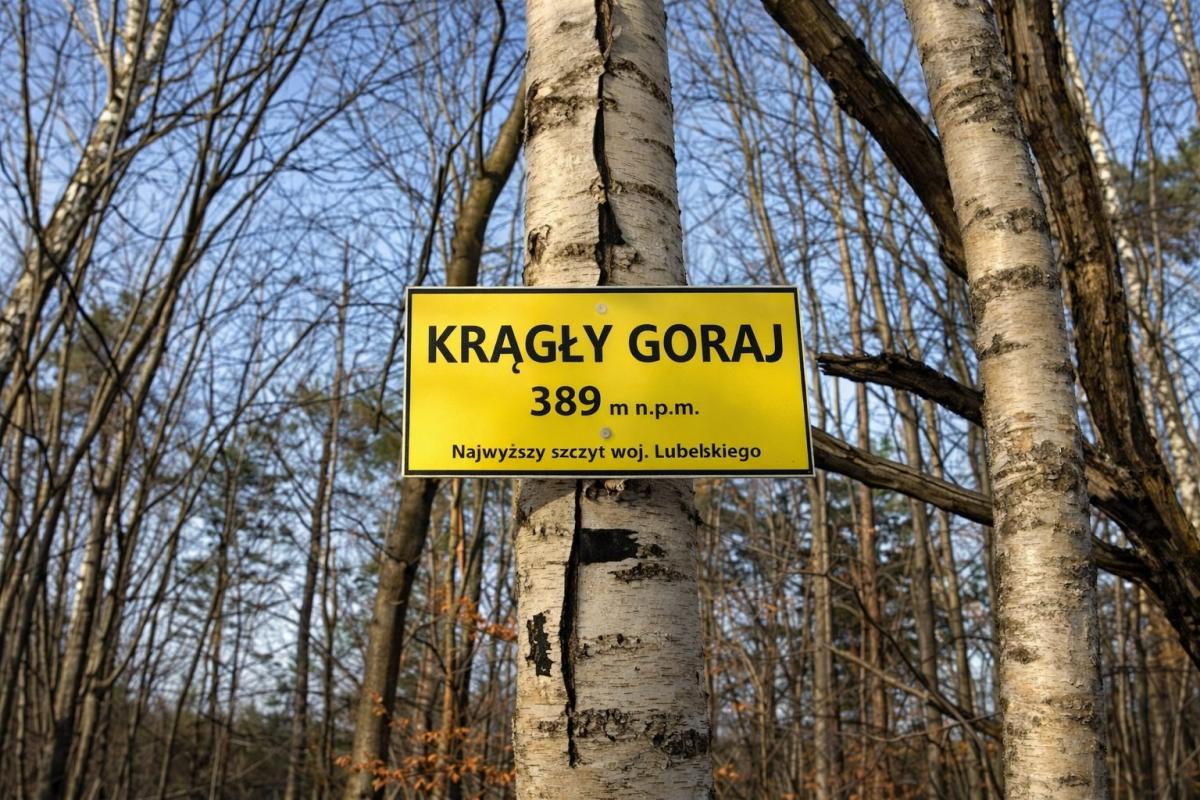 Miniaturka Dwa Goraje: Krągły i Długi. To najwyższe szczyty województwa lubelskiego i Roztocza